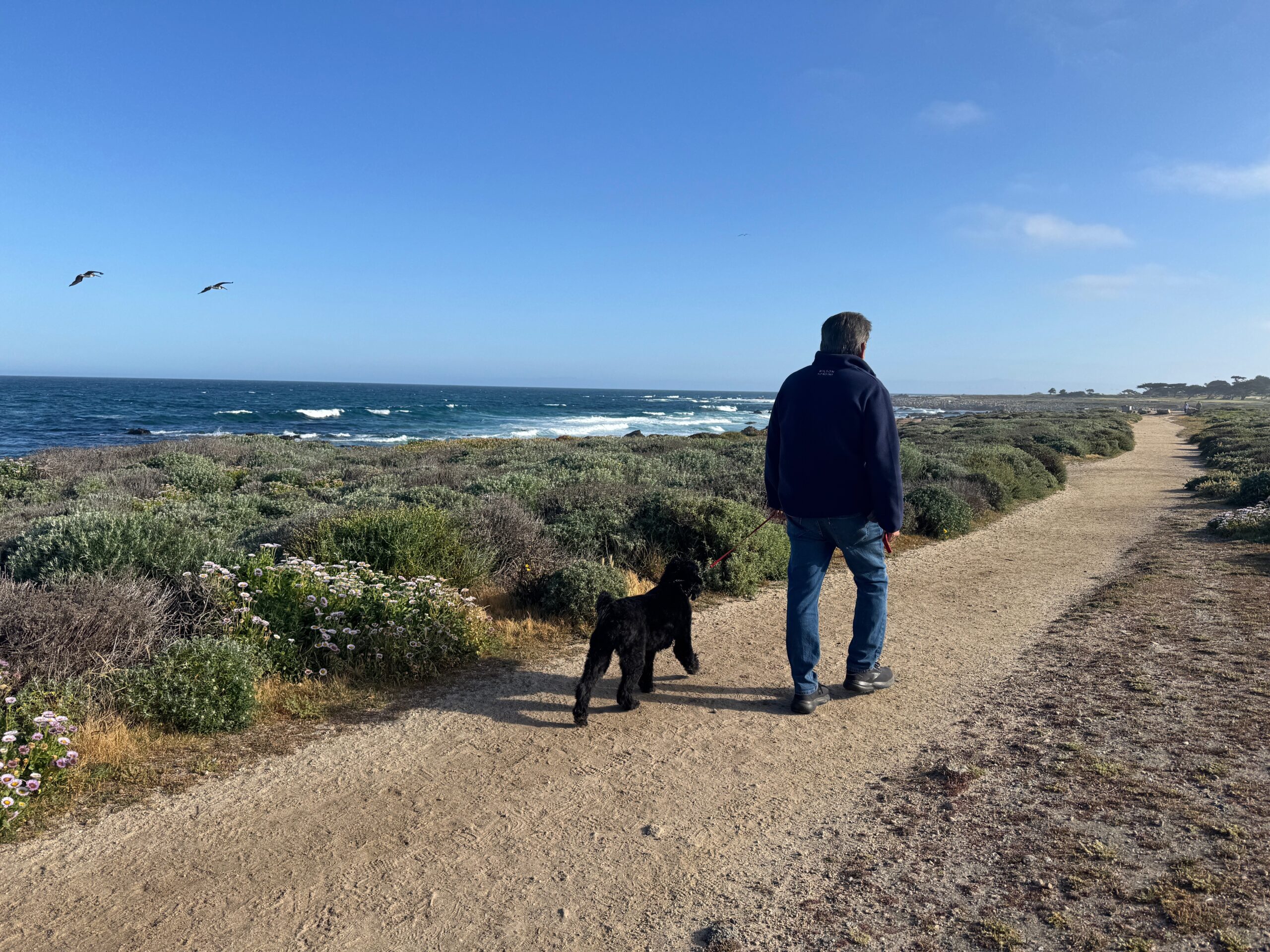 Rico walking Rafa near ocean